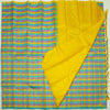 Pastel Palum Pazhamum Borderless Kanchipuram Silk Saree - Vivaaha Silks & Sarees