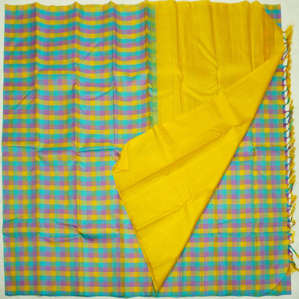 Pastel Palum Pazhamum Borderless Kanchipuram Silk Saree - Vivaaha Silks & Sarees