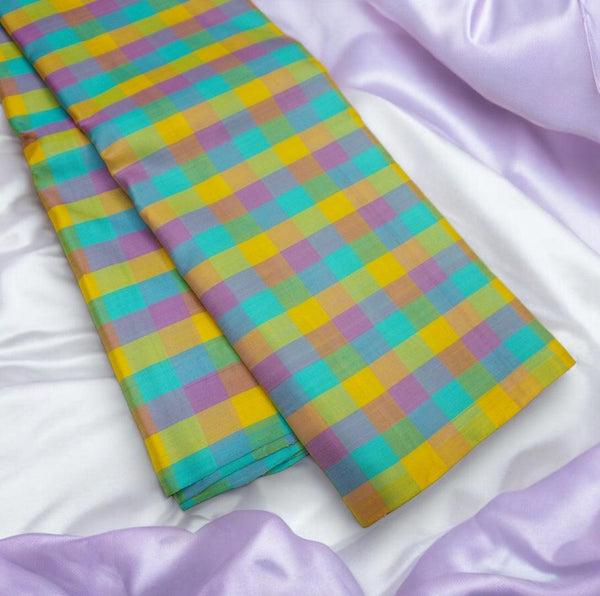 Pastel Palum Pazhamum Borderless Kanchipuram Silk Saree - Vivaaha Silks & Sarees
