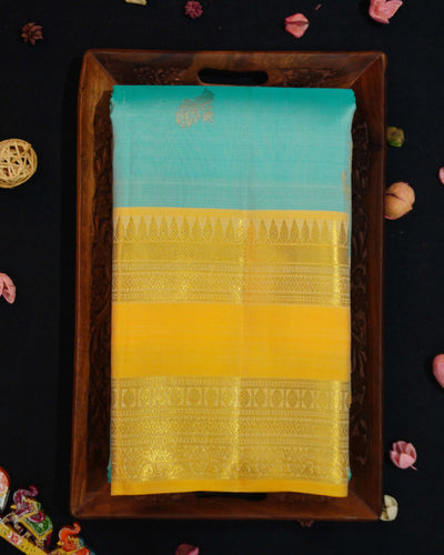 Pastel Blue kanchipuram silk saree With Retta Pettu Boder