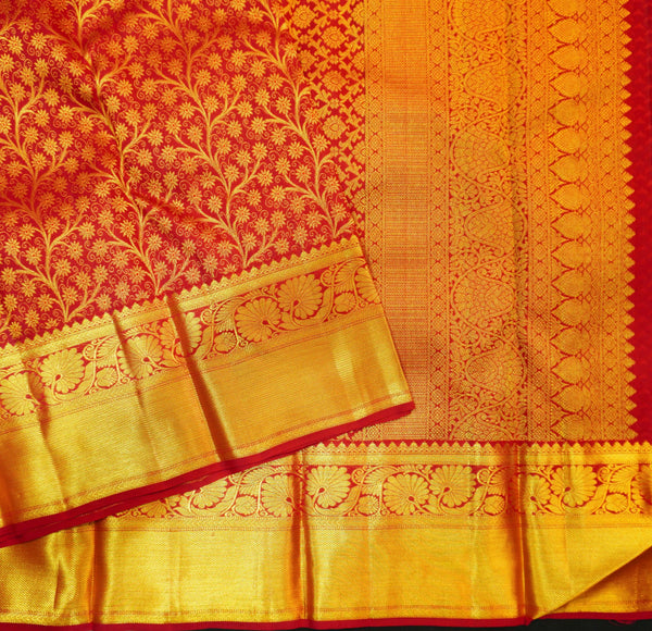 Close view of premium bridal kanchipuram silk saree in bridal red colour with creeping floral design