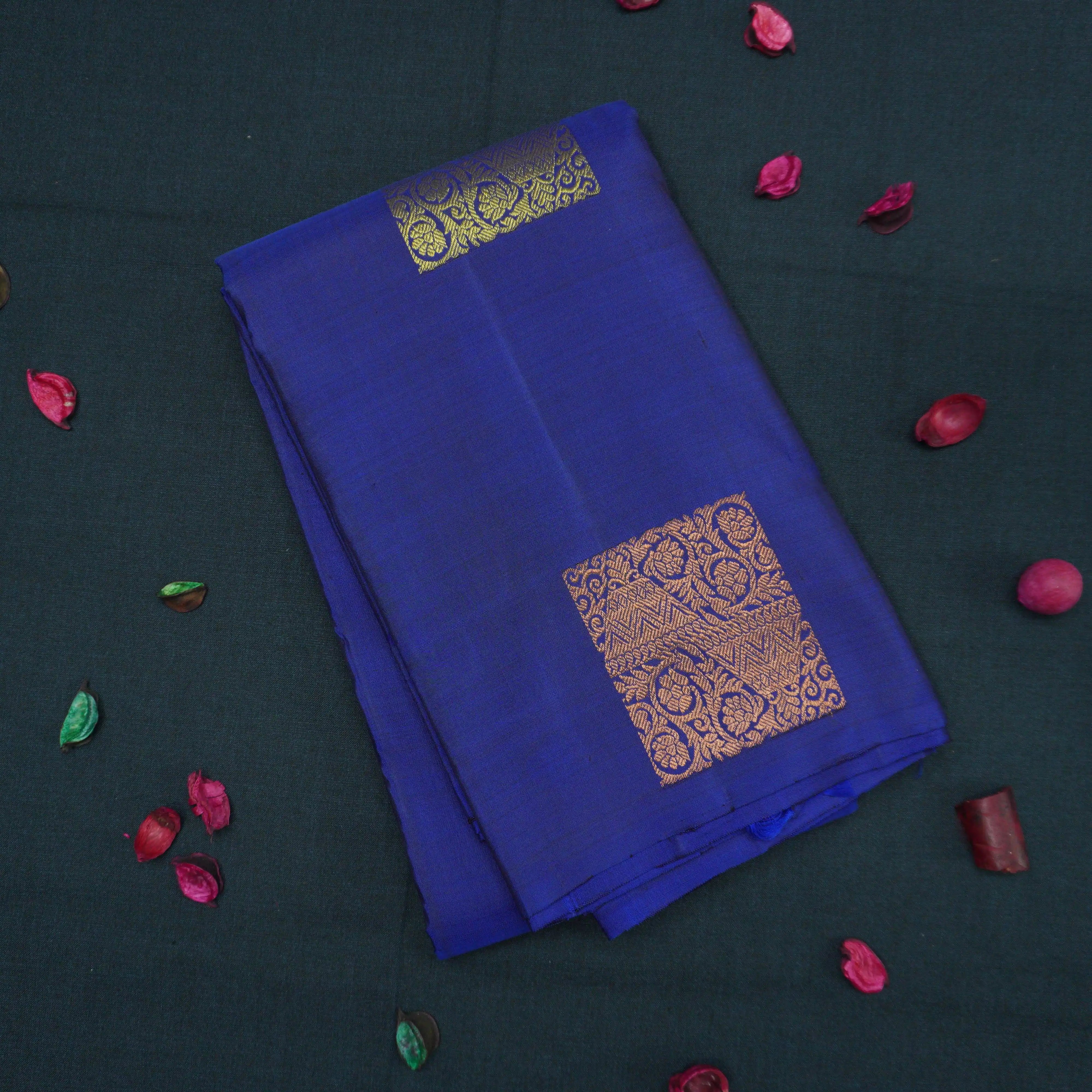 Deep Blue Borderless Kanchipuram Silk Saree with Gold and Copper Motifs
