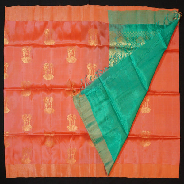 Peach Orange Kanchipuram Soft Silk Saree in Golden Zari
